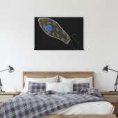 Konzeptionelles Bild von Euglena 1 Leinwanddruck (Insitu (Schlafzimmer))
