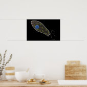 Konzeptionelles Bild von Euglena 1 Poster (Küche)