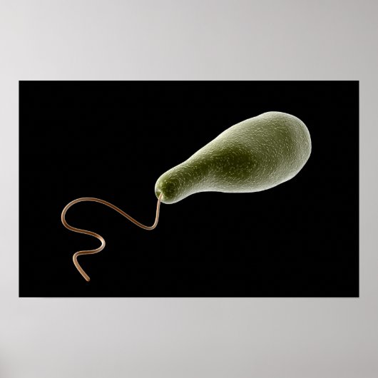 Konzeptionelles Bild von Euglena 2 Poster (Vorne)