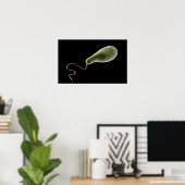 Konzeptionelles Bild von Euglena 2 Poster (Heimbüro)