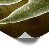 Konzeptionelles Bild von Euglena 3 Poster (Ecke)