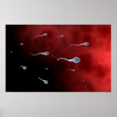 Konzeptionelles Bild von Spermien im Inneren des F Poster (Vorne)