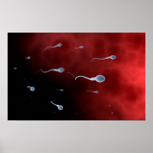 Konzeptionelles Bild von Spermien im Inneren des F Poster (Vorne)