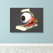 Konzeptuelles Bild der Anatomie des menschlichen A Leinwanddruck (Insitu (Holzboden))