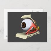 Konzeptuelles Bild der Anatomie des menschlichen A Postkarte (Vorne/Hinten)