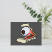 Konzeptuelles Bild der Anatomie des menschlichen A Postkarte (Stehend Vorderseite)