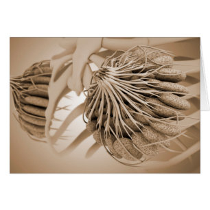 Konzeptuelles Bild der Brustanatomie bei Frauen 5