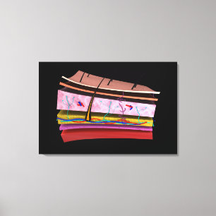 Konzeptuelles Bild der Ebenen der menschlichen Hau Leinwanddruck