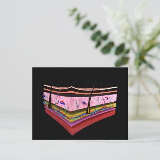 Konzeptuelles Bild der Ebenen der menschlichen Hau Postkarte (Stehend Vorderseite)