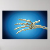 Konzeptuelles Bild der Knochen in der menschlichen Poster (Vorne)