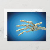 Konzeptuelles Bild der Knochen in der menschlichen Postkarte (Vorne/Hinten)