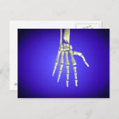 Konzeptuelles Bild der Knochen in der menschlichen Postkarte (Vorne/Hinten)