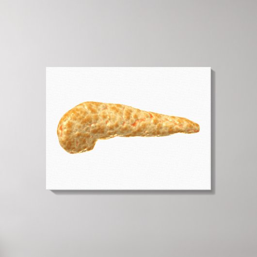 Konzeptuelles Bild der Pankreas beim Menschen Leinwanddruck (Vorderseite)