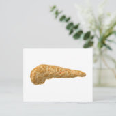 Konzeptuelles Bild der Pankreas beim Menschen Postkarte (Stehend Vorderseite)