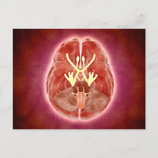 Konzeptuelles Bild der SchädelNerven im Gehirn Postkarte (Vorderseite)