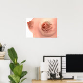 Konzeptuelles Bild der weiblichen Brustanatomie 6 Poster (Heimbüro)