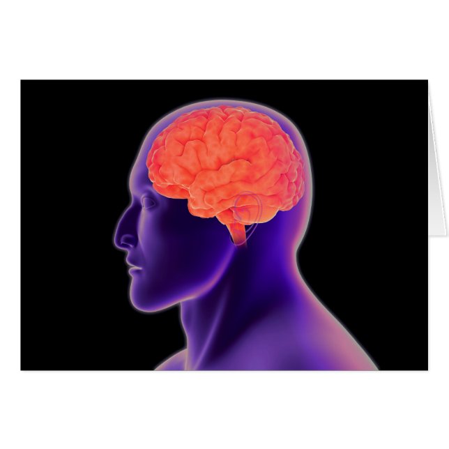 Konzeptuelles Bild des menschlichen Gehirns 1 (Vorderseite (Horizontal))