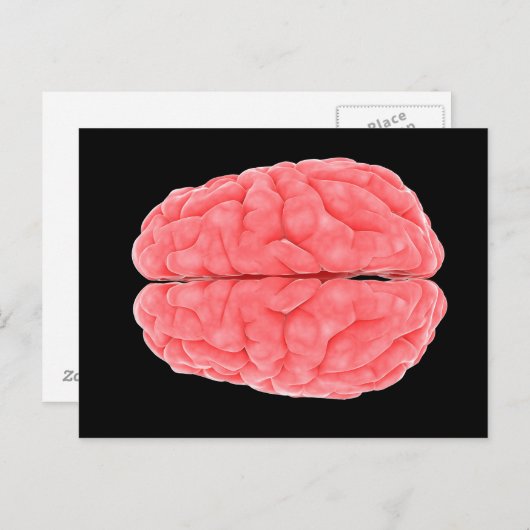 Konzeptuelles Bild des menschlichen Gehirns 10 Postkarte (Vorne/Hinten)