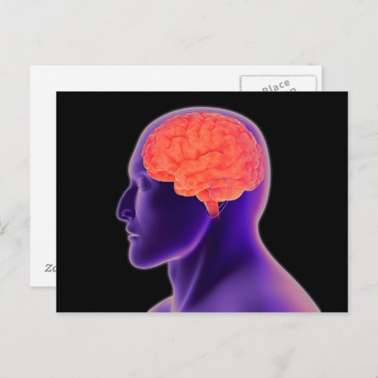 Konzeptuelles Bild des menschlichen Gehirns 1 Postkarte (Vorne/Hinten)
