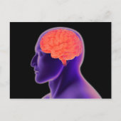 Konzeptuelles Bild des menschlichen Gehirns 1 Postkarte (Vorderseite)