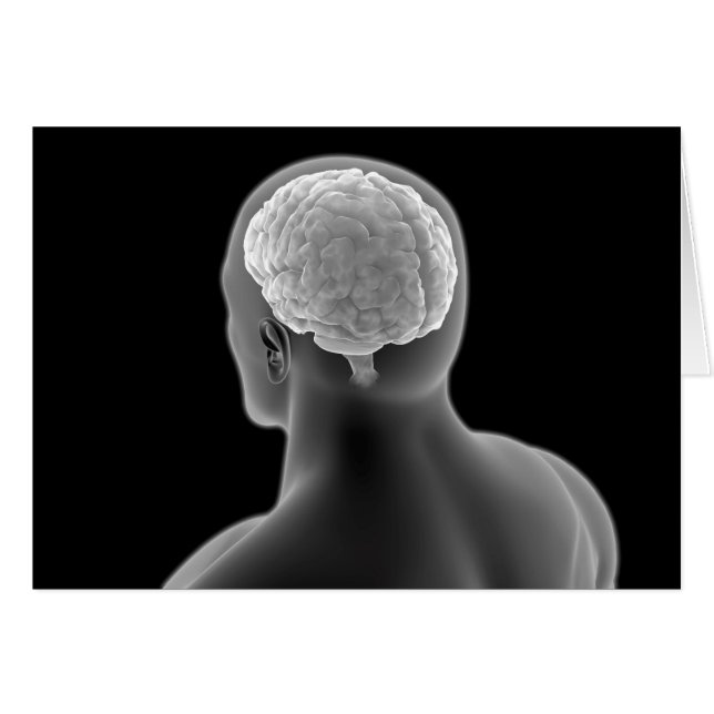 Konzeptuelles Bild des menschlichen Gehirns 2 (Vorderseite (Horizontal))