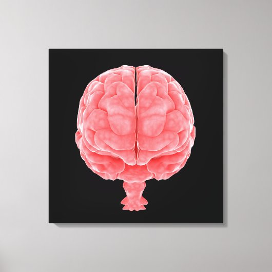 Konzeptuelles Bild des menschlichen Gehirns 3 Leinwanddruck (Vorderseite)