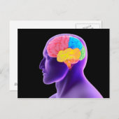 Konzeptuelles Bild des menschlichen Gehirns 7 Postkarte (Vorne/Hinten)