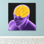 Konzeptuelles Bild des menschlichen Gehirns 8 Leinwanddruck (Insitu (Holzboden))