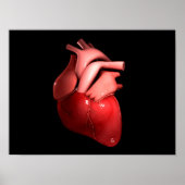 Konzeptuelles Bild des menschlichen Herzens 1 Poster (Vorne)