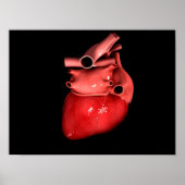 Konzeptuelles Bild des menschlichen Herzens 3 Poster (Vorne)