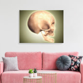 Konzeptuelles Bild des menschlichen Schädels, Seit Leinwanddruck (Insitu (Wohnzimmer))