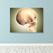 Konzeptuelles Bild des menschlichen Schädels, Seit Leinwanddruck (Insitu (Holzboden))