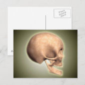 Konzeptuelles Bild des menschlichen Schädels, Seit Postkarte (Vorne/Hinten)