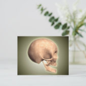 Konzeptuelles Bild des menschlichen Schädels, Seit Postkarte (Stehend Vorderseite)