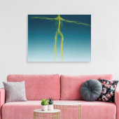 Konzeptuelles Bild des Nervensystems 1 Leinwanddruck (Insitu (Wohnzimmer))