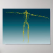 Konzeptuelles Bild des Nervensystems 1 Poster (Vorne)