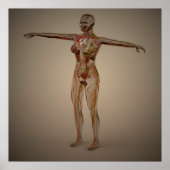 Konzeptuelles Bild des Nervensystems 2 Poster (Vorne)