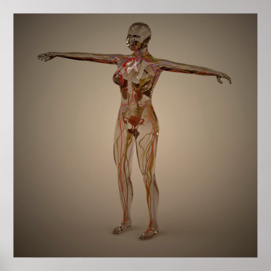 Konzeptuelles Bild des Nervensystems 2 Poster (Vorne)