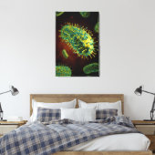 Konzeptuelles Bild des Tollwutvirus 1 Leinwanddruck (Insitu (Schlafzimmer))