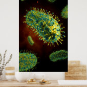 Konzeptuelles Bild des Tollwutvirus 1 Poster (Küche)