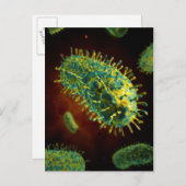 Konzeptuelles Bild des Tollwutvirus 1 Postkarte (Vorne/Hinten)