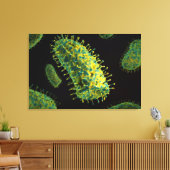 Konzeptuelles Bild des Tollwutvirus 2 Leinwanddruck (Insitu (Wohnzimmer))
