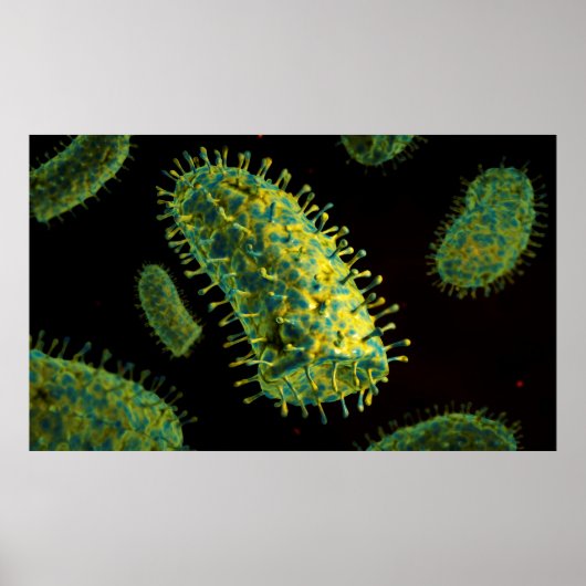 Konzeptuelles Bild des Tollwutvirus 2 Poster (Vorne)