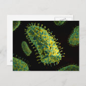 Konzeptuelles Bild des Tollwutvirus 2 Postkarte (Vorne/Hinten)