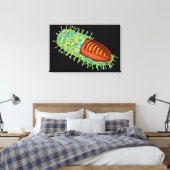 Konzeptuelles Bild des Tollwutvirus 3 Leinwanddruck (Insitu (Schlafzimmer))