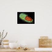 Konzeptuelles Bild des Tollwutvirus 3 Poster (Küche)