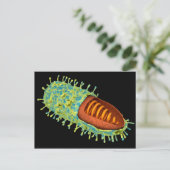 Konzeptuelles Bild des Tollwutvirus 3 Postkarte (Stehend Vorderseite)