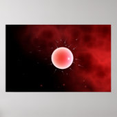 Konzeptuelles Bild einer gemeinsamen Befruchtung Poster (Vorne)