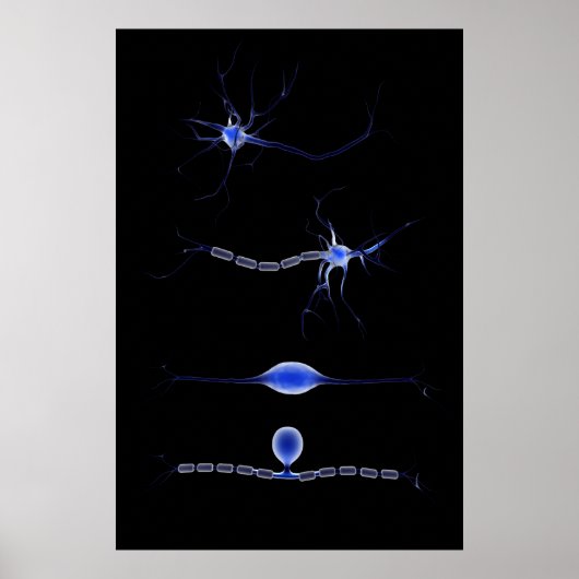 Konzeptuelles Bild einer Neuron 1 Poster (Vorne)