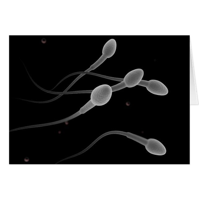 Konzeptuelles Bild männlicher Spermien (Vorderseite (Horizontal))